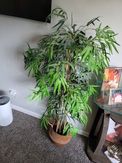Artificial plants