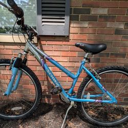 26" SCHWINN BIKE