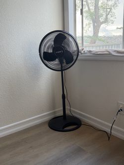 2 Lasko fans for $35