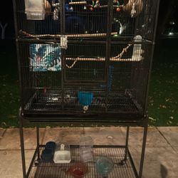 Bird Cage