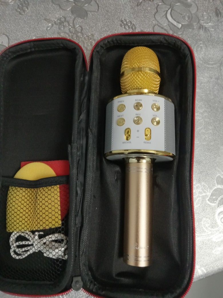 Karaoke Microphone $25