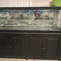 125 Gallon Fish Tank