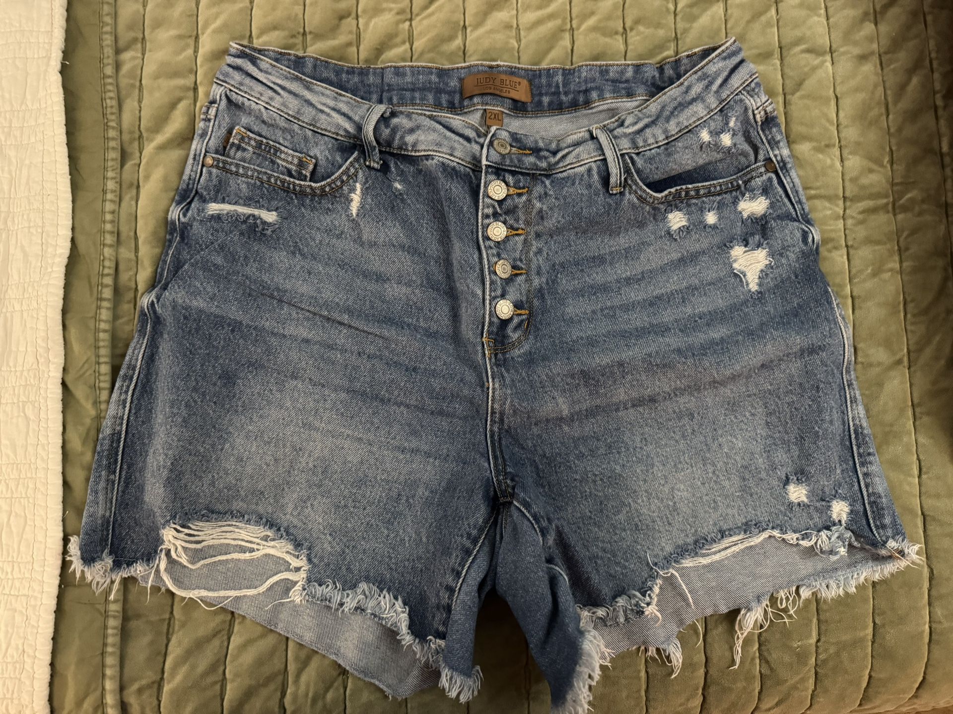 Judy Blue Shorts - 2X