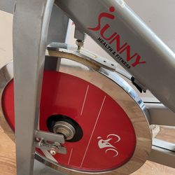 Sunny Exercise Bike