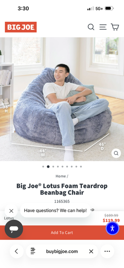 Big Joe Lotus bean bag chair