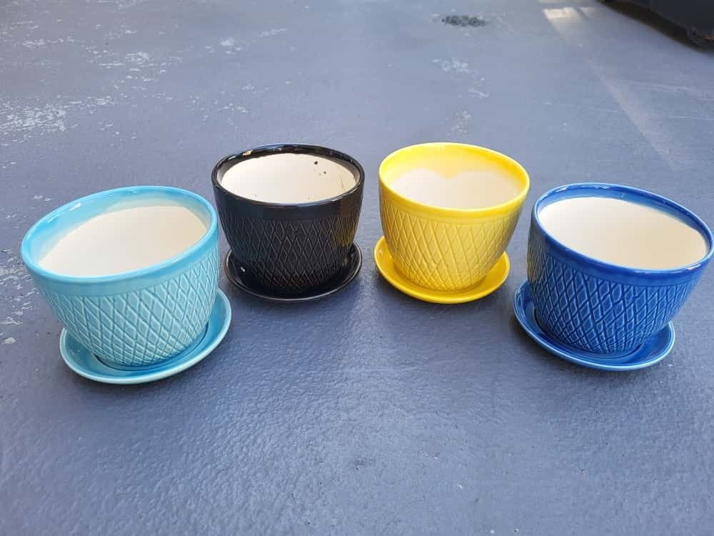 Ceramics Plants Ceramic