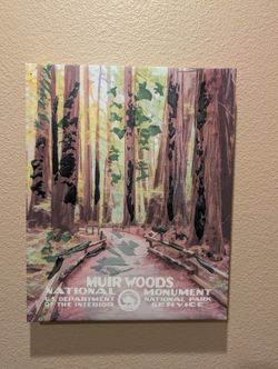 Muir Woods Canvas