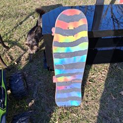 Santa Cruz Skate Board