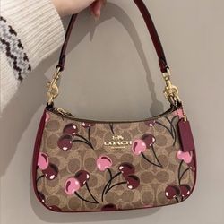 COACH BAGS 🌺