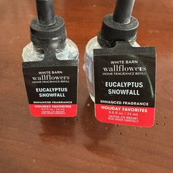 Eucalyptus Snowfall Wallflowers 