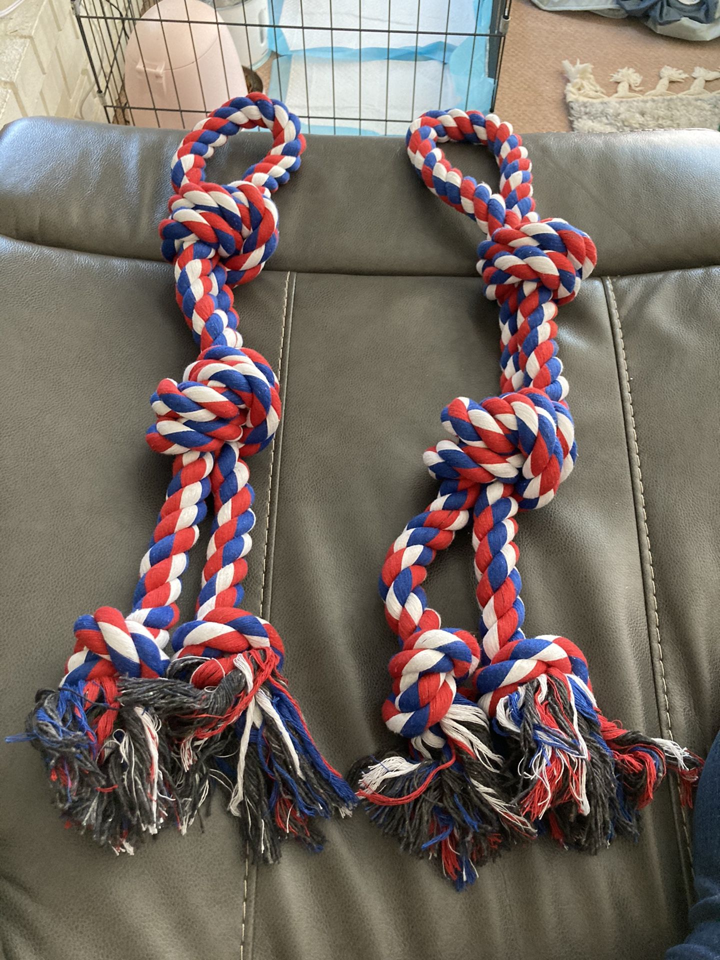 Colorful Dog Ropes For Bigger Dogs