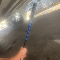 Louisville Slugger Bat