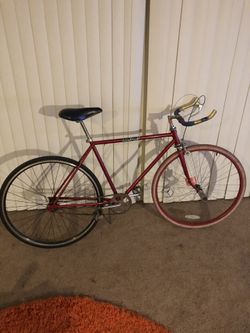 1976 Schwinn Chicago fixed gear