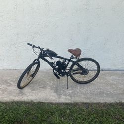 Motorized Beach Cruiser
