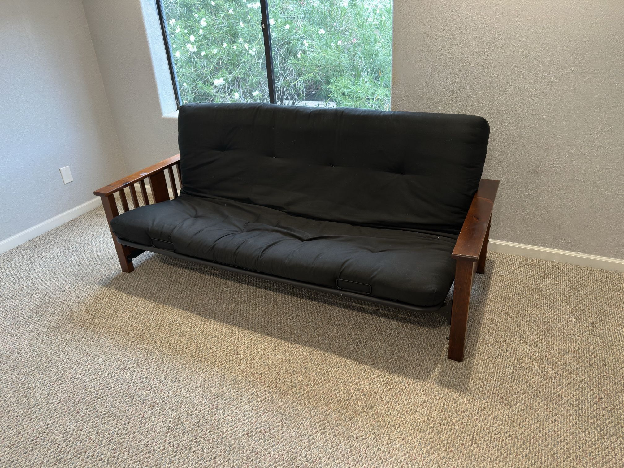 Sleeper Couch / Futon