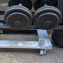 50lb Dumbbells 
