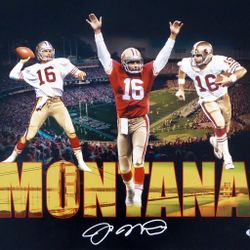 Joe Montana 16 X 20 Autographed 