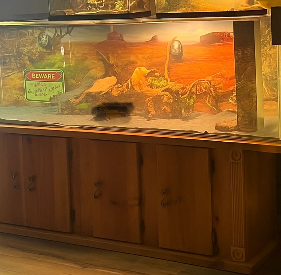 Reptile Enclosure/ Fish Tank