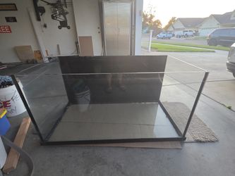 Custom Made Aquarium