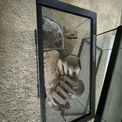 Exo Terra Sliding Lid, 10 Gallon Terrarium 