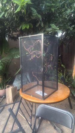 Bird Cage