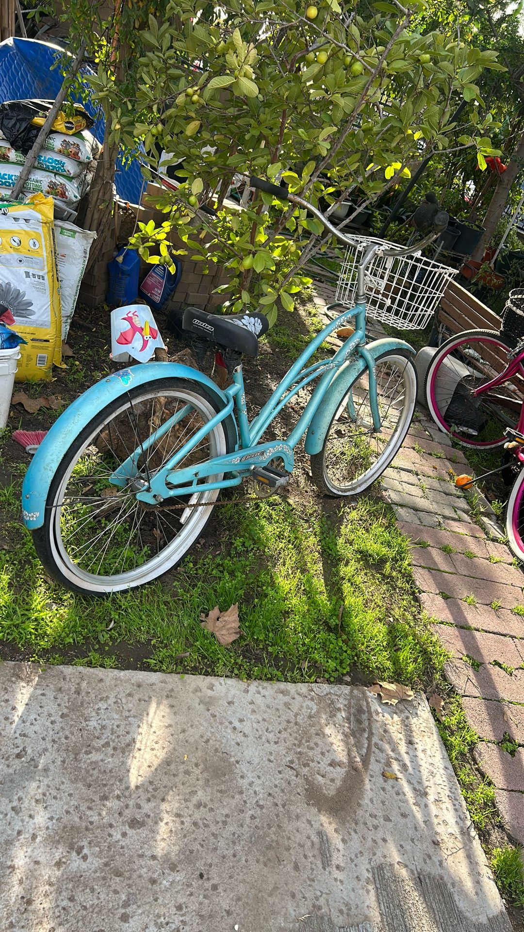 Bike Beach Cruiser