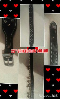 25"SPIKED DOG COLLAR