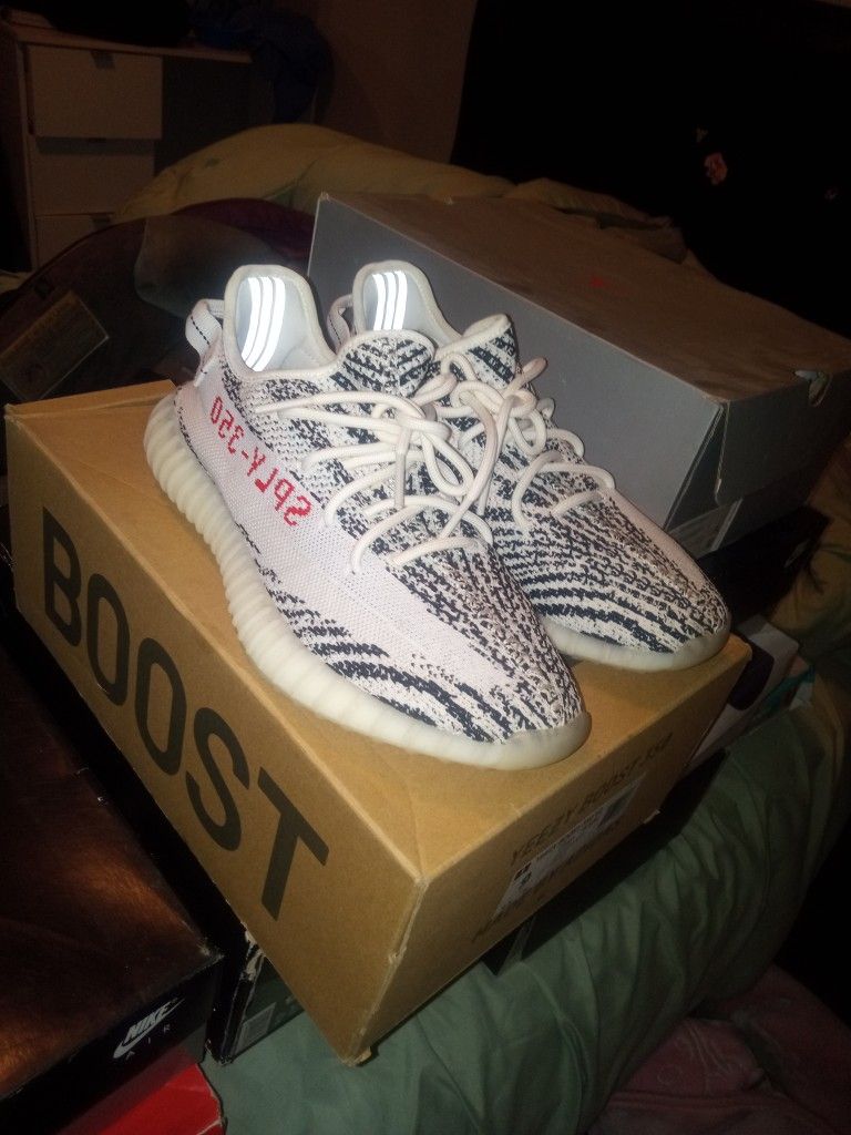 Yeezy Zebra Size 9 