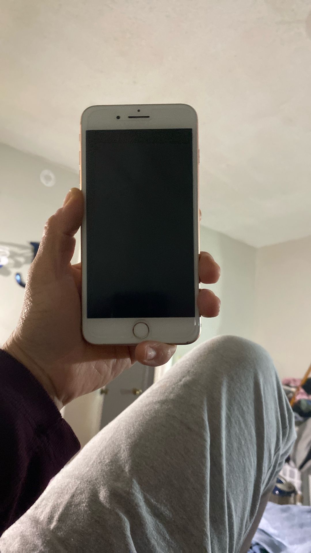 iPhone 8 Plus
