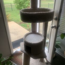 For your cats!  Please 