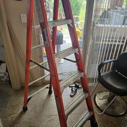 Werner Ladder 6ft