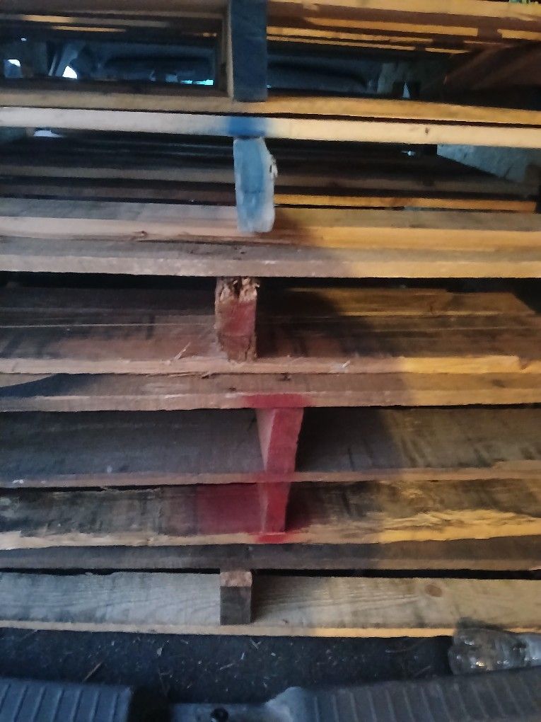 Pallets For Warehouse