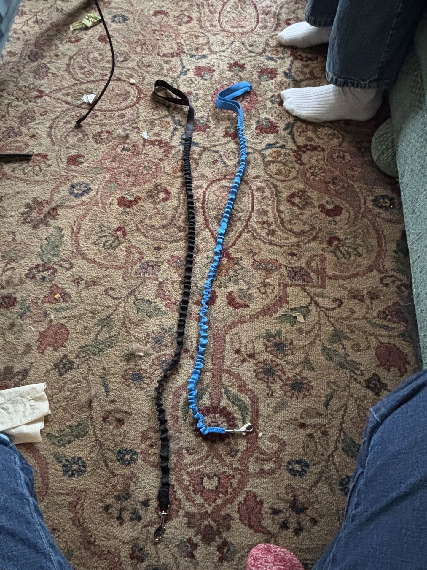 Cat Leashes