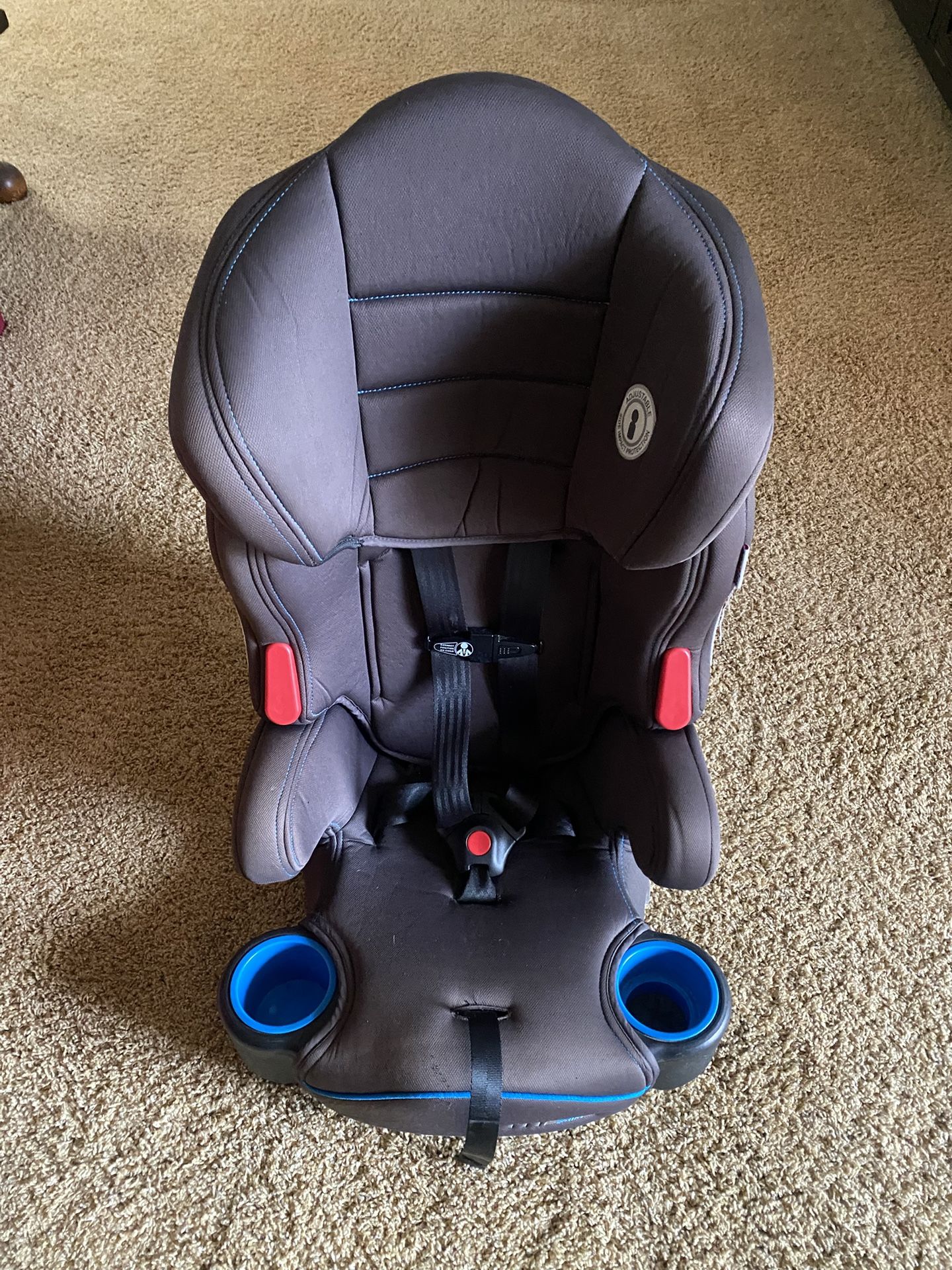 Car Seat / Booster
