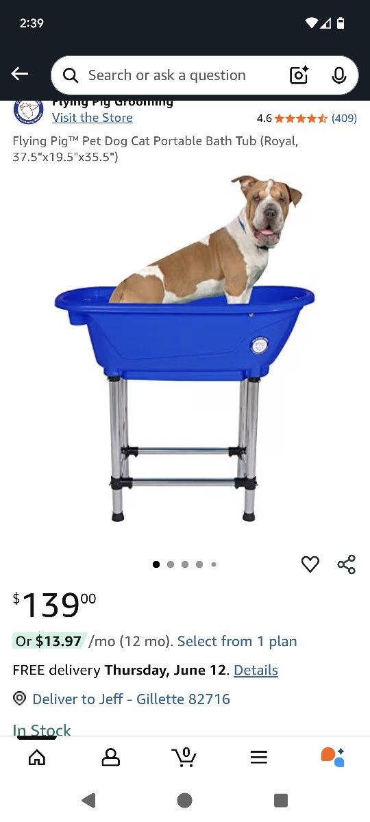 Flying Pig Dog Bath