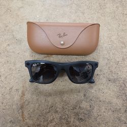 Ray-Ban Meta Wayfarer Polarized  Sunglasses