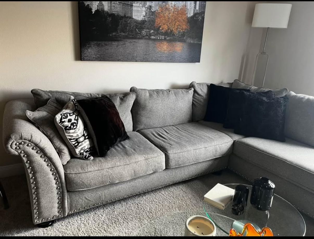 Gray Luxury Couch
