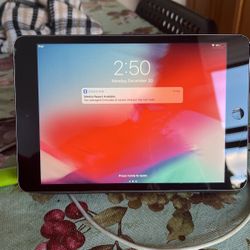 Apple iPad 2 Cellular Unlocked 9.7 Screen 16g