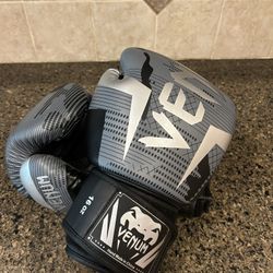 Venom Boxing Gloves 