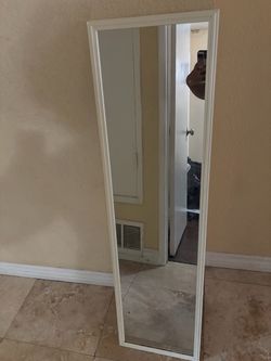 Body mirror or door  mirror