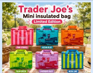 Trader Joe's Mini Insulated Bags