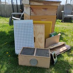   Copper Top Beehive  