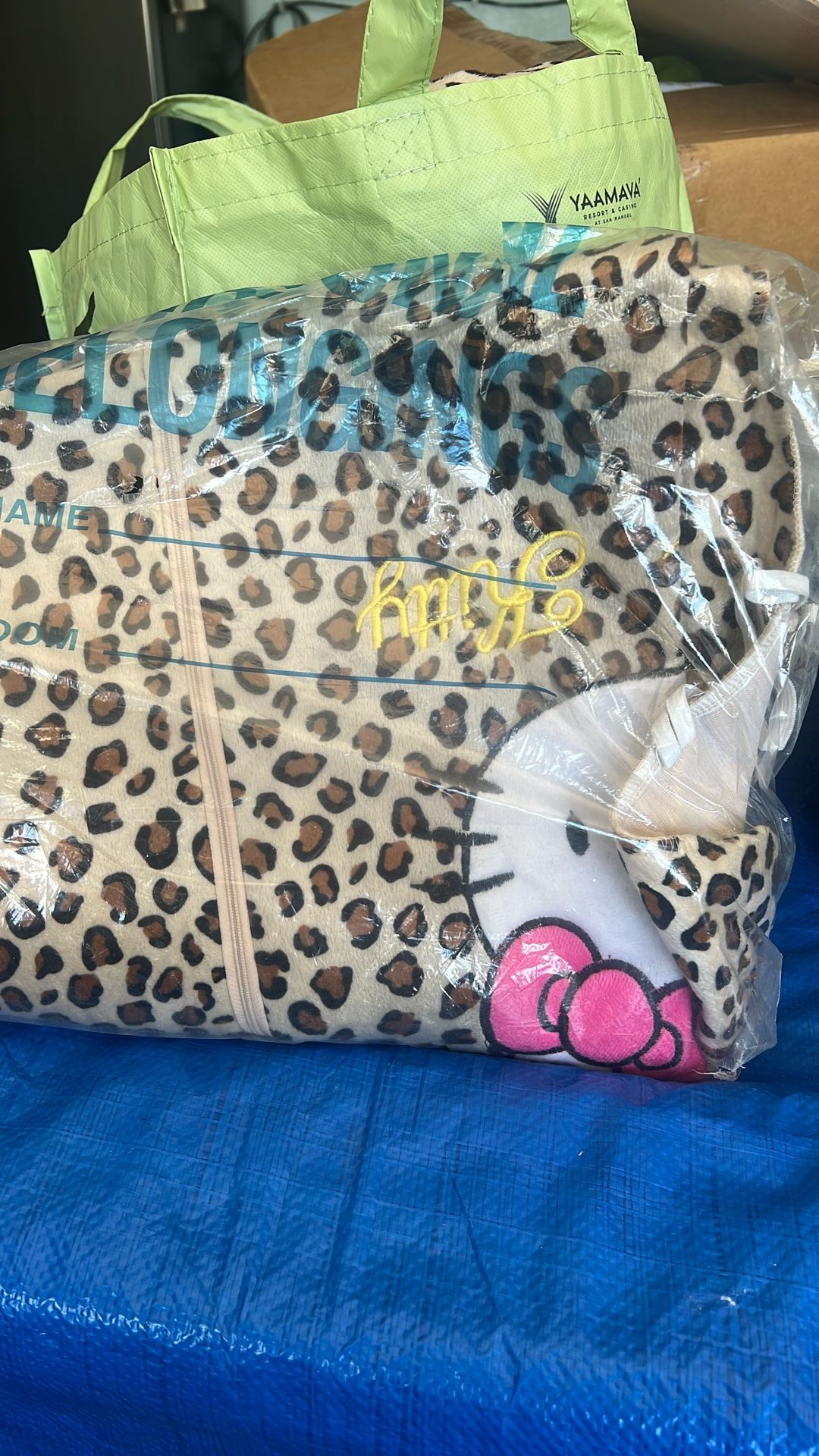 Car Seat Hello Kitty