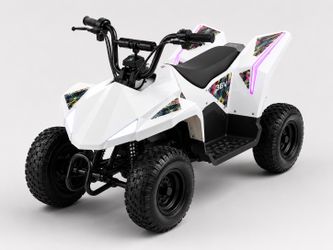 Fully Assembled 36V ATV