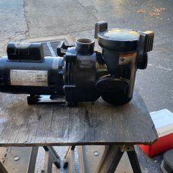 Pool Pump Jandy 1.65 HP