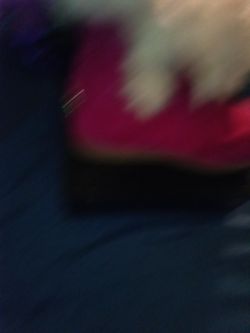 Women's Boots