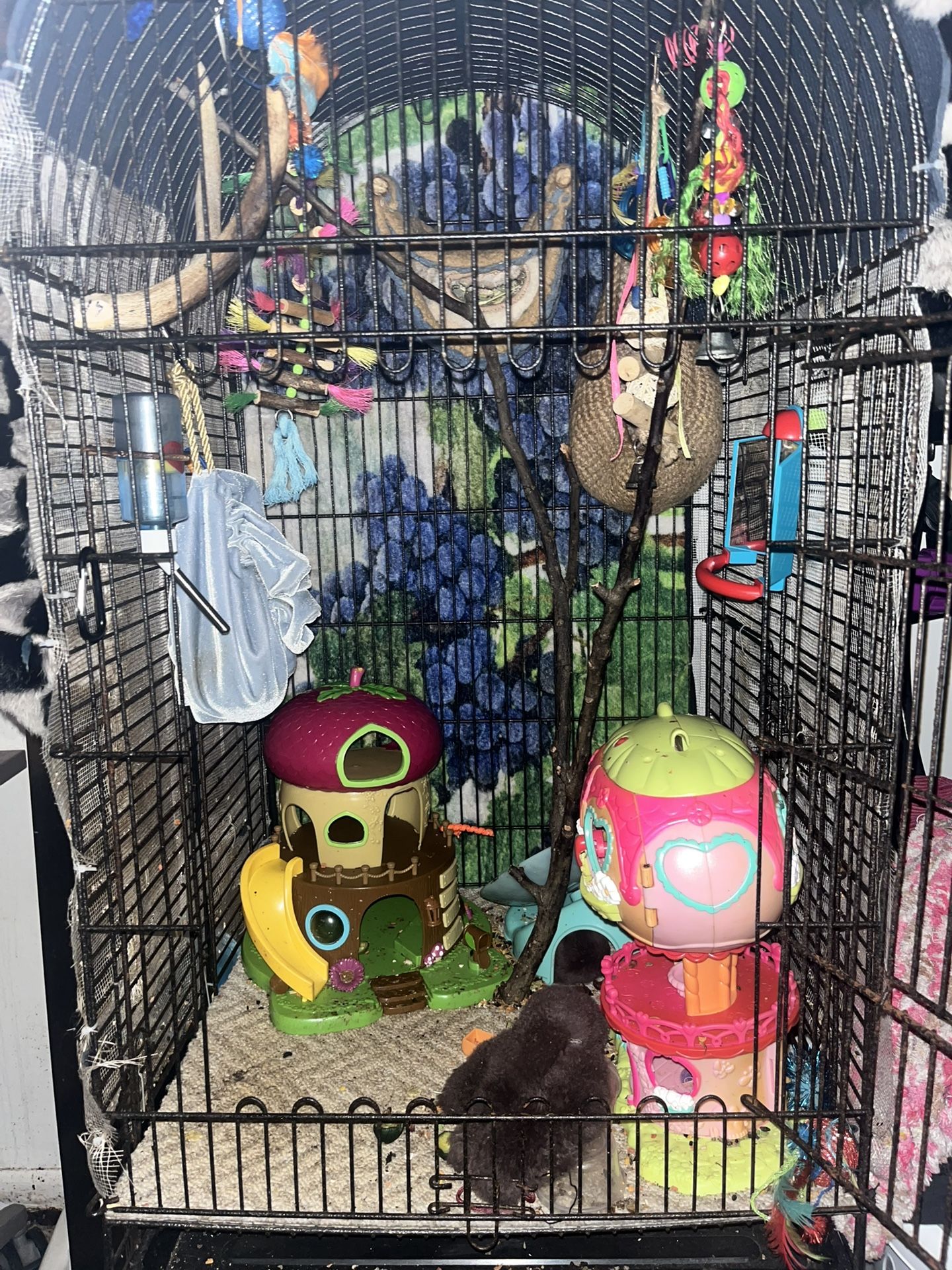 Sugar Glider Cage And Accessories