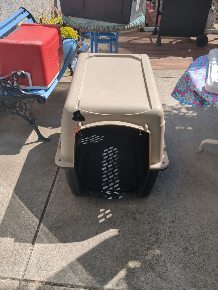 Large Dog House
