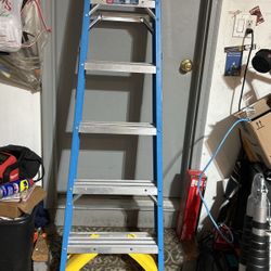 Werner 6ft 250 LB Ladder 