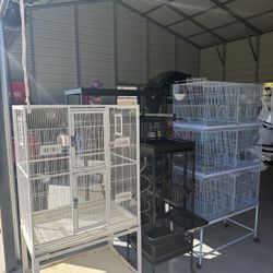 Bird Cages